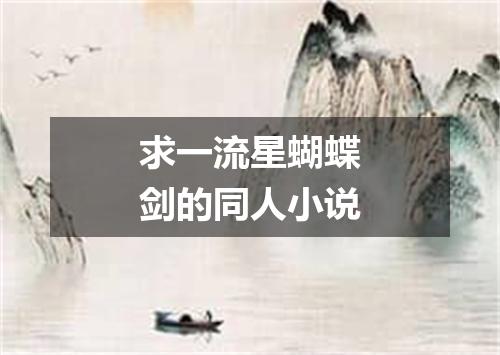 求一流星蝴蝶剑的同人小说
