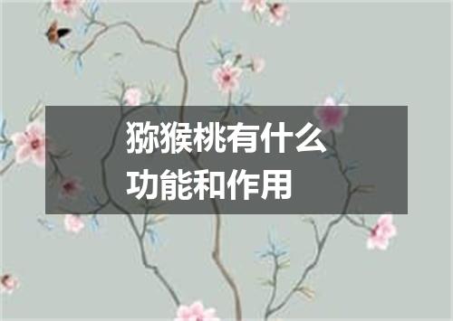 猕猴桃有什么功能和作用