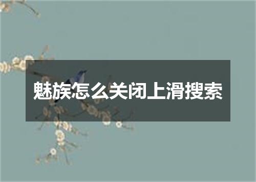 魅族怎么关闭上滑搜索