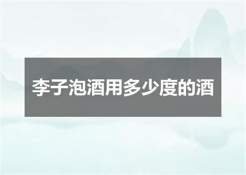 李子泡酒用多少度的酒