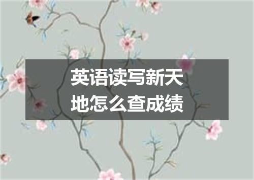 英语读写新天地怎么查成绩