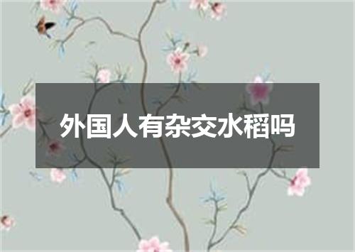 外国人有杂交水稻吗