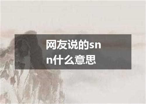 网友说的snn什么意思