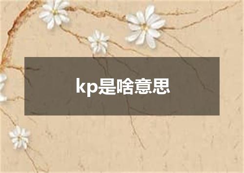 kp是啥意思