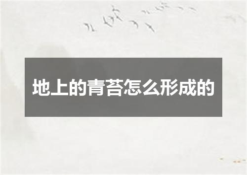 地上的青苔怎么形成的