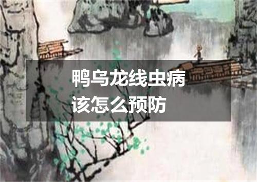 鸭乌龙线虫病该怎么预防