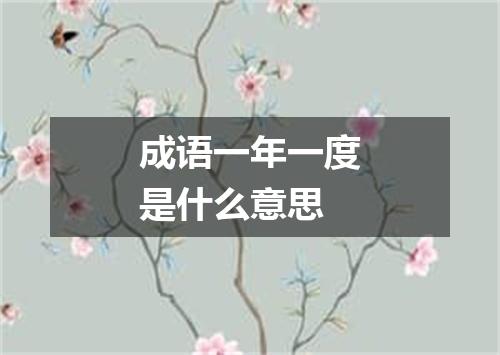 成语一年一度是什么意思