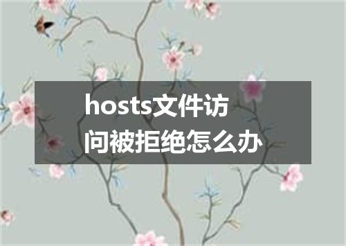 hosts文件访问被拒绝怎么办