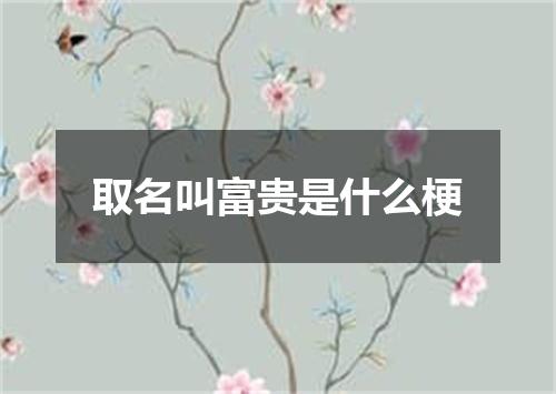 取名叫富贵是什么梗