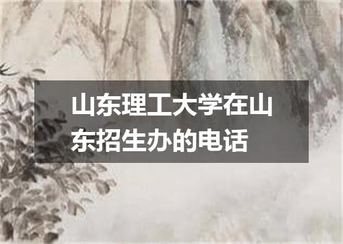 山东理工大学在山东招生办的电话