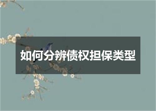 如何分辨债权担保类型