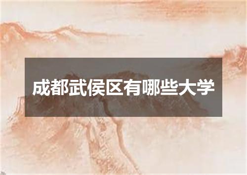 成都武侯区有哪些大学