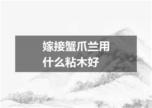 嫁接蟹爪兰用什么粘木好