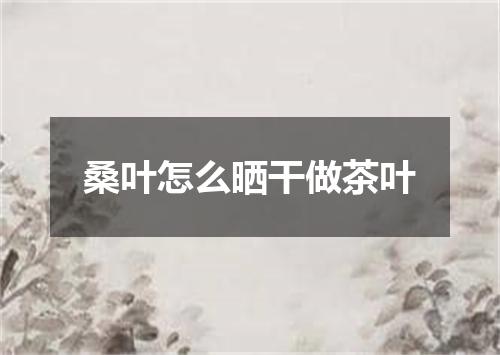 桑叶怎么晒干做茶叶