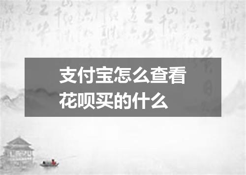 支付宝怎么查看花呗买的什么