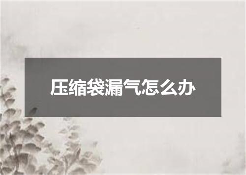 压缩袋漏气怎么办