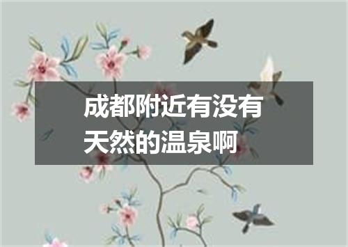 成都附近有没有天然的温泉啊