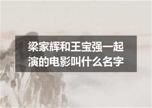 梁家辉和王宝强一起演的电影叫什么名字