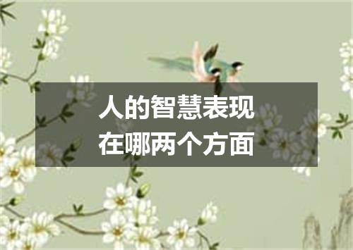 人的智慧表现在哪两个方面