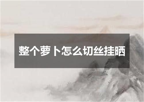 整个萝卜怎么切丝挂晒