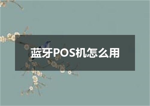 蓝牙POS机怎么用