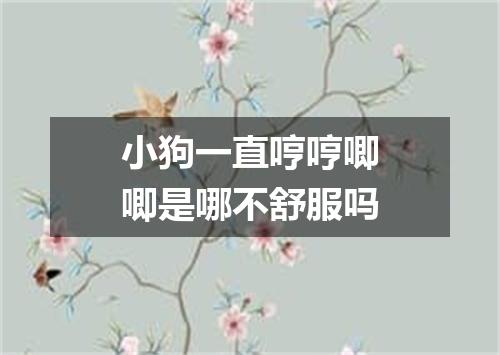 小狗一直哼哼唧唧是哪不舒服吗