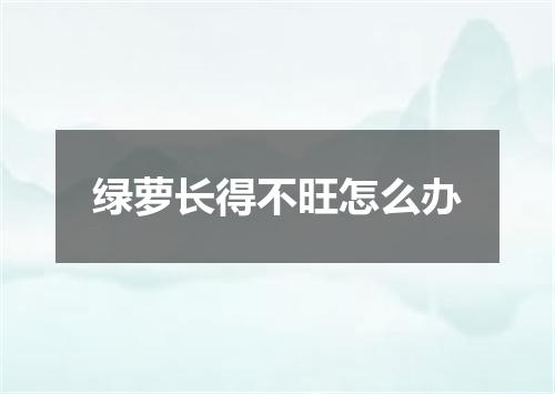 绿萝长得不旺怎么办