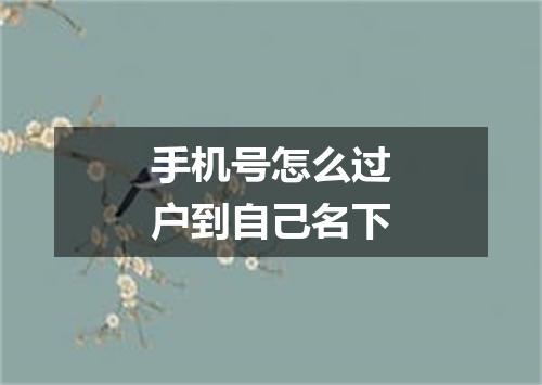 手机号怎么过户到自己名下