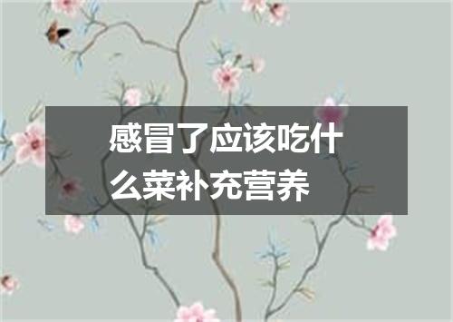 感冒了应该吃什么菜补充营养