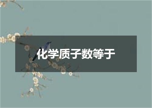 化学质子数等于