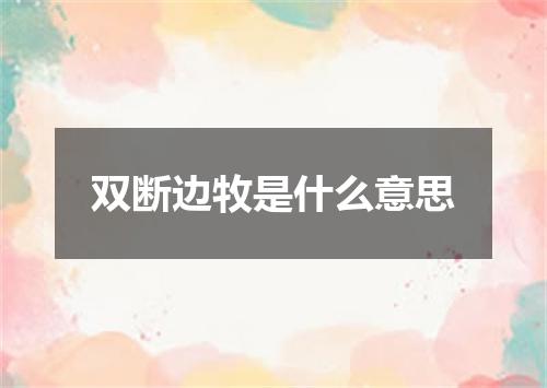 双断边牧是什么意思