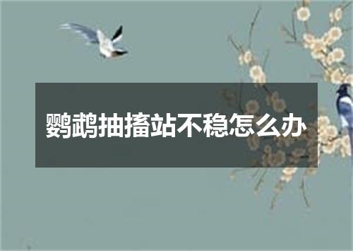 鹦鹉抽搐站不稳怎么办