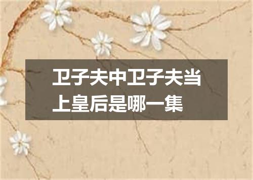 卫子夫中卫子夫当上皇后是哪一集