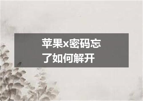 苹果x密码忘了如何解开