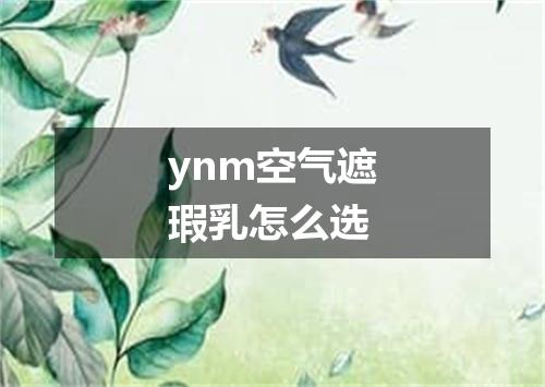 ynm空气遮瑕乳怎么选