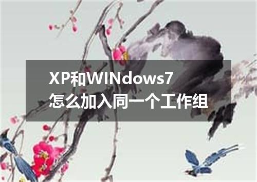 XP和WINdows7怎么加入同一个工作组