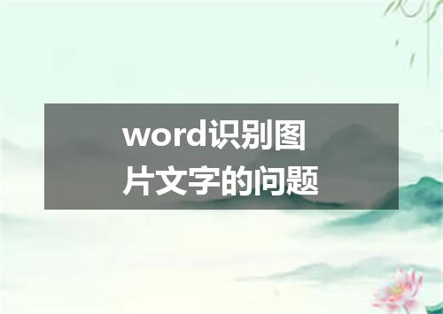 word识别图片文字的问题