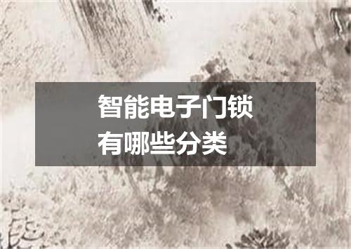 智能电子门锁有哪些分类
