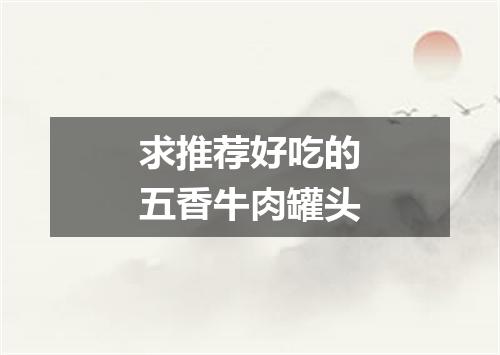 求推荐好吃的五香牛肉罐头