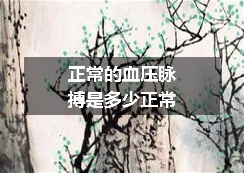 正常的血压脉搏是多少正常