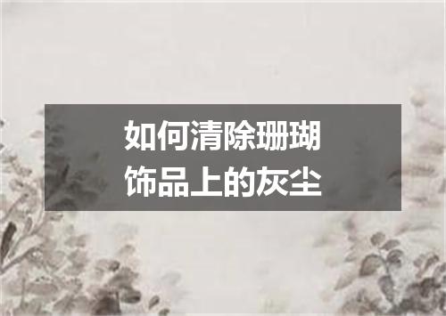 如何清除珊瑚饰品上的灰尘