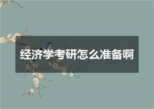 经济学考研怎么准备啊