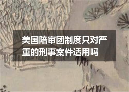 美国陪审团制度只对严重的刑事案件适用吗