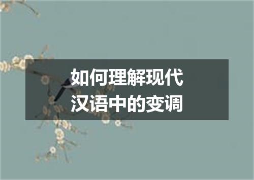 如何理解现代汉语中的变调