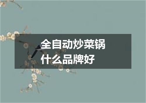 全自动炒菜锅什么品牌好