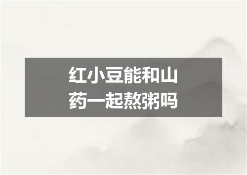 红小豆能和山药一起熬粥吗