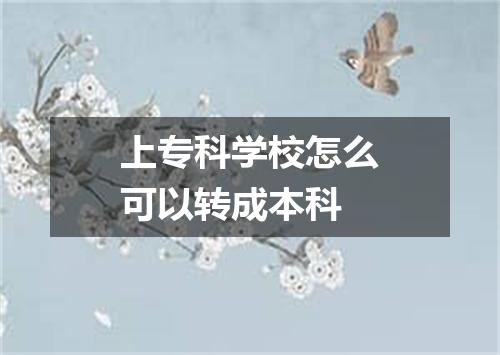 上专科学校怎么可以转成本科