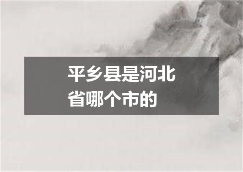 平乡县是河北省哪个市的