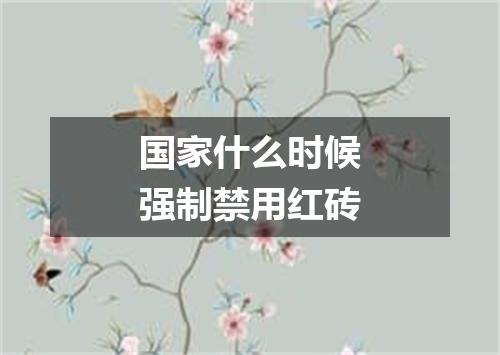 国家什么时候强制禁用红砖