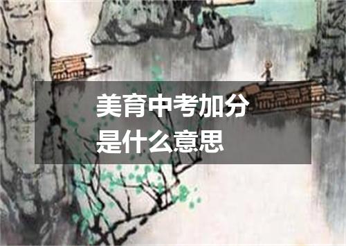 美育中考加分是什么意思